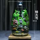 桌面微景观礼盒苔藓微景观生态瓶创意面造景绿植盆栽节日生日 步步高升养鱼特大号+植物灯20*30