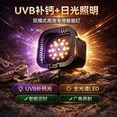 C-LEEN其鳞乌龟晒背灯智能三模式可定时爬宠晒背灯具 【可定时/三模式】智能晒背灯【遵循弗格森分区】