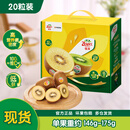 佳沛（zespri）x1号会员店联名款阳光金奇异果20粒礼盒单果约146-175g水果猕猴桃