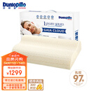 邓禄普（Dunlopillo）盖伊雅舒睡波浪枕 荷兰进口特拉雷Talalay天然乳胶枕物理发泡工艺