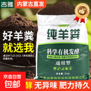 内蒙古羊粪发酵有机肥纯羊粪营养土种菜养花土壤通用型蔬菜肥料 大草原高品质粉末肥 50斤发酵纯羊粪【内蒙直发】