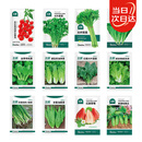 北蔬 各种蔬菜种子生菜草莓香菜小香葱黄瓜阳台四季菜籽 12种蔬菜种子