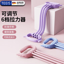 TEEIS德国弹力带绳健身拉力绳带器力量训练普拉提臂力开背肩女健身器材 梦幻紫【升级6管加粗】
