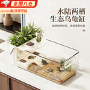 涵瑶伊笑乌龟专用缸家用爬宠客厅大容量专用收纳箱生态造景晒爬台桌面龟缸 小号（乌龟缸）赠爬台*花盆*进食盒*长32宽16.5高12