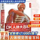 2026全新修订版 DK人体大百科正版书籍 人体视觉图鉴人类的进化 人体发育和生殖百科知识 青少年了解人体知识 人体正常形态结构 成人儿童科普百科全书籍 DK人体大百科【2026全新修订版】