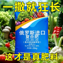 俄罗斯进口复合肥蔬菜农用种菜水溶性复合肥100斤通用复合肥 20-20-20【50斤】(原包装发货)
