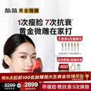 极萌无痛黄金微雕美容仪家用V脸神器淡法令纹提拉紧致抗衰消水肿双下巴瘦脸仪生日礼物送妈妈送女生