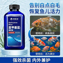 修医宠亚甲基蓝鱼药鱼缸杀菌消毒水族锦鲤鹦鹉白点小瓜虫寄生虫650ml