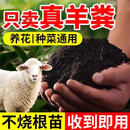 羊粪发酵有机肥100斤纯羊粪肥蔬菜花卉通用型肥料营养家用农家肥 羊粪有机肥100斤【发酵完全好肥力】