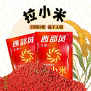 【即开即用】新品拉颗粒膨化饵料即开即用一包搞定 拉小米颗粒膨化饵料50g【4包】