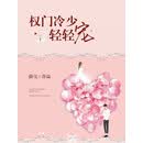 权门冷少轻轻宠