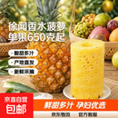 广东徐闻香水菠萝新鲜水果生鲜热带孕妇水果整箱包邮 净重4.5-5斤 单果650g起
