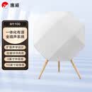 惠威（HiVi）M1100时尚无线家庭影院一体化全景声落地蓝牙音箱客厅2.1声道影音有源音响 M1100