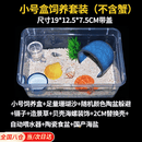 华胜冠寄居蟹饲养箱明日达寄居蟹养殖箱小别墅套装新手专用次日达 小号寄居蟹饲养套装(不含蟹）