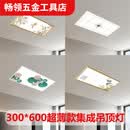 维诺亚集成吊顶灯led平板灯300x600厨卫灯铝扣板嵌入式LED30x60平板板灯 主图款 300*600(48W白光)