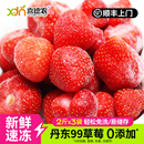 喜德农速冻新鲜丹东99草莓1kg/袋冷冻莓果奶茶店果饮烘焙原料 冷冻草莓1kg*3袋【顺丰包邮】
