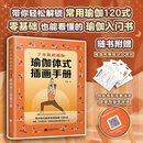 【官方正版】了不起的瑜伽：瑜伽体式插画手册 120种常用体式 一本讲透 从零基础到进阶 一本通关 赠送瑜伽知识实用小卡片和部分体式指导视频 了不起的瑜伽：瑜伽体式插画手册