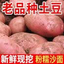 新鲜云南红皮土豆黄心大农家红洋芋蔬菜现挖现发新鲜蔬菜高山自种 9斤 特大果拳头及以上大小