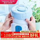 特百惠（Tupperware）净水器滤芯 纳美玲珑牌TPW-C1型家用厨房直饮机滤水配件