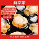 鲜京采大号带黄扇贝肉 净重2斤 80-120粒/袋  海鲜水产 聚餐