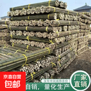 竹竿菜园搭架竹子户外旗杆黄瓜豆角爬藤菜架竹杆支架豇豆搭架杆 0.8-1.2厘米粗【1.5米长】 精选20根