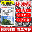 川东农药5%环嗪酮除杂草除杂灌大藤蔓王烂根死根专用药农药除草剂500g*5袋