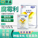 住友日本住友 速克灵腐霉利葡萄番茄黄瓜油菜灰霉病菌核病农药杀菌剂 100g*100