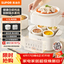 苏泊尔（SUPOR）电炖盅电炖锅隔水炖家用全自动煲汤炖汤锅陶瓷燕窝炖盅4.5L蒸炖一体多功能锅3-4人 DZ25FC873