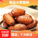 东北柞蚕蛹鲜活大黄蚕蛹优质高蛋白特产野生黄蛹茧蛹新鲜蝉蛹包邮 高品质【大黄蛹4-5cm】1斤