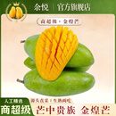 余悦海南金煌芒 【多地次日达】新鲜现摘水仙大芒果青皮甜心芒果整箱 带箱5斤【精选好果丨单果300-350g】净4.5斤