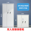 双人双锁保密文件柜学校档案柜试剂柜药品柜毒麻柜铁皮柜资料柜 双锁 高100宽65深45 带2层板