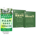 行书攻略 整篇书写与一字多写+常用3000字（实战应用） 行书技法实战教程行书字帖临摹练习 数艺设出品