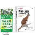 图解大模型：生成式AI原理与实战 大语言模型大模型应用开发Transformer DeepSeek模型原理开发深度学习 图灵出品 AI书籍