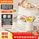 苏泊尔（SUPOR）电炖盅电炖锅隔水炖家用全自动煲汤炖汤锅陶瓷燕窝炖盅4.5L蒸炖一体多功能锅3-4人 DZ25FC873