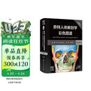 奈特人体解剖学彩色图谱（第8版）英汉对照 国际畅销解剖学图谱 临床医学基础医学必读