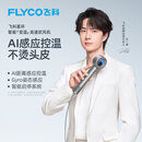 飞科（FLYCO）【王一博同款】星环高速吹风机负离子护发 AI智能变温电吹风筒  节日礼物推荐 H6星空银