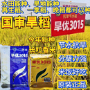 旺园兴杂交旱稻种子旱优3015比旱优73高产长粒香旱地稻谷籼水稻种子 旱优3015【原包装500克】