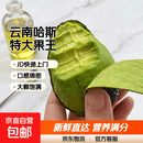 京喜加【国货之光】正宗云南哈斯牛油果新鲜健康轻食孕妇宝宝辅食 特大（单果净重160-190g） 实惠装4粒