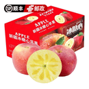 龙多鲜新疆冰糖心苹果 丑苹果 新鲜富士应季水果 节日送礼推荐 整箱5斤精选好果约130-200g净4.5斤