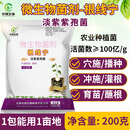 亦强生物（YIQIANGSHENGWU） 根线宁 微生物菌剂淡紫紫孢菌淡紫拟青霉降低根结危害保护根系 10公斤/件  散装