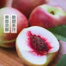云南珍珠油桃500g