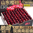 粤迎山东美早大樱桃【JD顺丰多地次日达】国产车厘子现摘现发新鲜 2斤(净重) 礼盒装【单人独享-钜划算】 超大果 2J级 单果28-30mm【我狠甜】