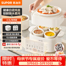 苏泊尔（SUPOR）电炖盅电炖锅隔水炖家用全自动煲汤炖汤锅陶瓷燕窝炖盅4.5L蒸炖一体多功能锅3-4人 DZ25FC873