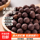 陶粒垫底养花专用彩色陶粒种花用的陶粒园艺陶粒水培小陶粒回填 精选大号陶粒20斤(1.5cm-2cm)