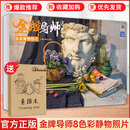 【现货速发】金牌导师8色彩静物照片 2026烈公文化庞宇韬陈燕兴单体组合水果蔬菜花卉杂物场景色彩写生素材美术历年考题高考联考教材教程书籍