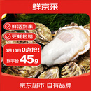 鲜京采  鲜活生蚝5XL 净重5斤 9-12只 鲜活到家 海鲜 源头直发