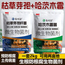 农可益枯草芽孢菌杆菌哈茨木霉菌微生物菌剂农用改善土壤菌肥生根防根 枯草+哈茨（10套）