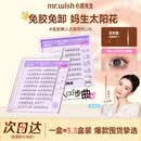 心愿先生免胶假睫毛PLUS睫毛书大盒装自然太阳花PLUS120簇自营新年礼物