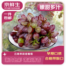 京鲜生 云南茉莉香葡萄净重2.8-3.3斤装 生鲜水果 源头直发包邮