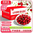 京鲜生【现货】山东大樱桃净重4.5斤单果22mm+ 生鲜应季水果 源头直发